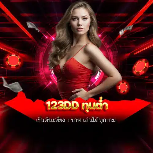 123dd ทุนต่ำ